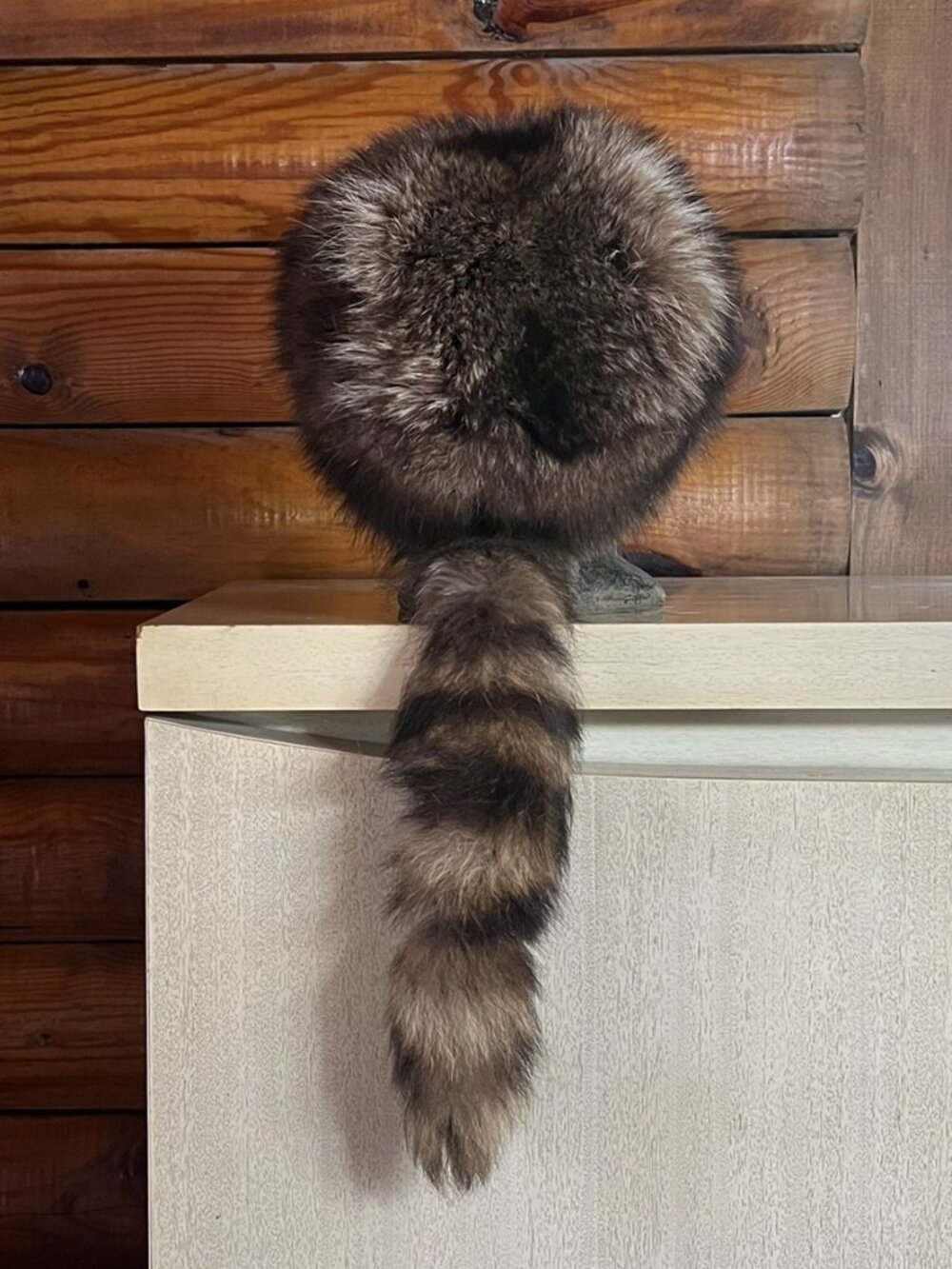 Vintage Unisex Handmade Genuine Coonskin Cap Natural 100% Raccoon Fur Hat, Lined